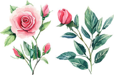 Fototapeta premium bouquet of flowers