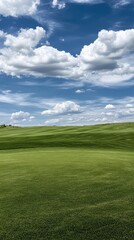 Fototapeta premium Vibrant green grass spreads across the field, illuminated by sunlight, creating a peaceful atmosphere on a clear day