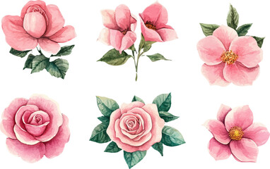 Watercolor floral illustration with roses