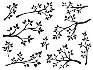 Tree branch with leaves silhouette set. Collection graceful branches of deciduous trees, black shadow. Organic natural twigs clip art illustration. Vector graphics
