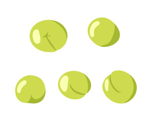 5粒の青梅のイラスト