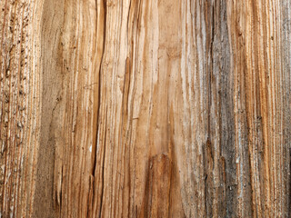 Pine wood. Pine wood texture. Longitudinal section of pine wood
