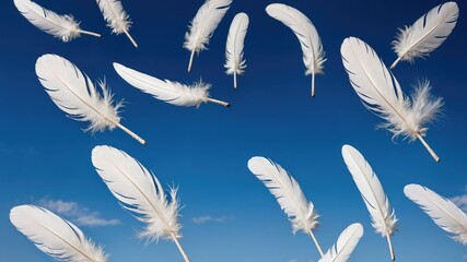 Feathers in white drift through the air against a blue sky.