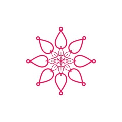 pink flower isolated on white background