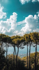 Obraz premium Tall trees and a cloudy sky over a distant landscape