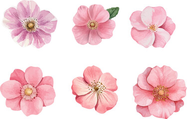 watercolor pink rose flower bouquet for valentines day