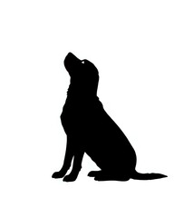 black bear silhouette