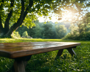 Naklejka premium Sunny park bench, green grass, forest background; product display