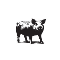 vector illustration of a pig