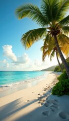 Obraz premium Warm sandy beach with palm trees swaying in gentle ocean breeze, weathered wood, beach