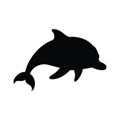 dolphin isolated on white background