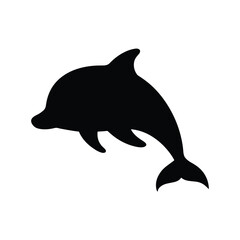 dolphin isolated on white background