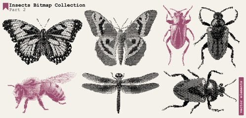 Vintage Butterfly Texture with Grunge Halftone Effect – Retro Y2K Insect Collage Art, Bitmap Grain & Punk Aesthetic.