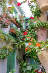 Colourful flower pots decorate the walls of courtyards and patio gardens of Cordoba, Andalusia, southern Spain. 