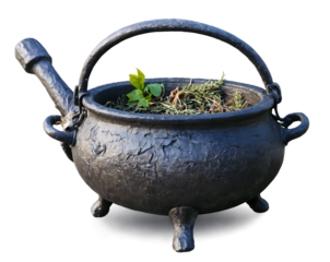 A cracked witch's cauldron brimming with dried herbs, poised to conjure mystical spells and ancient remedies in the heart of an enchanted forest under a starlit sky