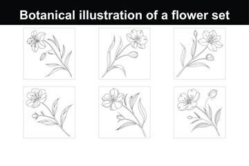 Elegant Hand-Drawn Botanical Flower Vector Illustration