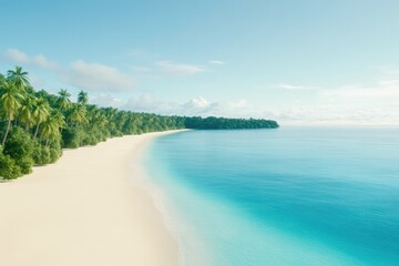 Obraz premium Pristine White Sand Beach with Palm Trees Overlooking Ocean