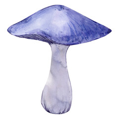 Blue mushroom watercolor illustration. Toxic mushroom with open cap on white background.