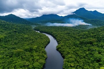 An impressive aerial shot showcases a winding river through dense, vibrant jungle, illustrating the beauty of nature and showcasing the tranquility of the untouched wilderness.