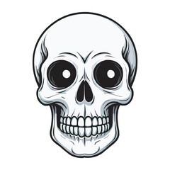 Black and White Skull Illustration. Detailed Line Art. Detailed Black and White Skull Illustration. Vintage human skull concept