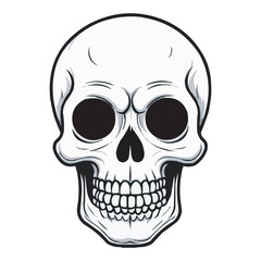 Black and White Skull Illustration. Detailed Line Art. Detailed Black and White Skull Illustration. Vintage human skull concept