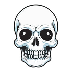 Black and White Skull Illustration. Detailed Line Art. Detailed Black and White Skull Illustration. Vintage human skull concept