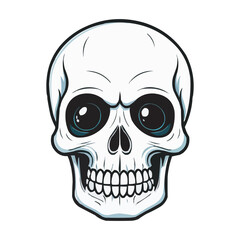 Black and White Skull Illustration. Detailed Line Art. Detailed Black and White Skull Illustration. Vintage human skull concept