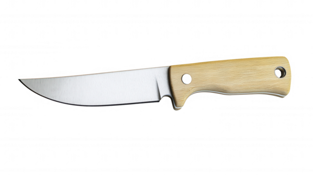 Fixed-Blade Knife Showcasing Birch Handle and Curved Stainless Steel Blade