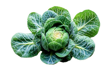 brussels sprouts closeup - fresh green vegetable isolated