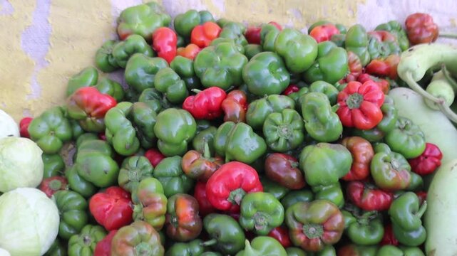 Fresh green capsicum (Shimla mirch) displayed at a vegetable market, showcasing its vibrant color and natural freshness. Perfect for organic produce, healthy eating, and grocery shopping themes