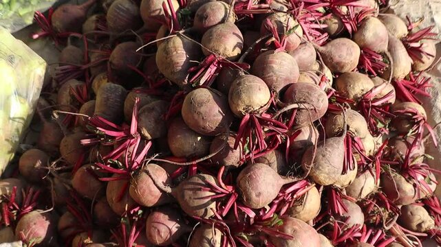 Fresh beetroot (chukandar) displayed at a vegetable market, highlighting its vibrant color and natural freshness. Perfect for healthy eating, organic produce, and local market concepts