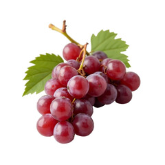 Fototapeta premium Uvas