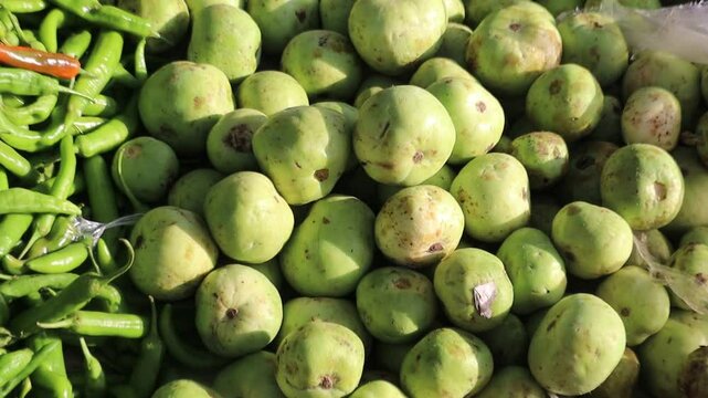 Fresh round gourds (tinda) displayed at a vegetable market, highlighting their natural freshness and green texture. Perfect for organic produce, healthy eating, and local market concepts