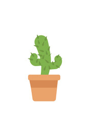 Cactus  isolated cartoon icon