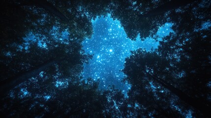 Fototapeta premium Starry night sky through forest canopy. Mystical, dark, and vibrant night scene. A breathtaking view of a clear night sky filled with countless stars seen from the depths of a forest