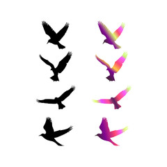 Silhouettes of birds in flight are shown in two columns. The left column features black silhouettes, while the right column displays multicolored silhouettes .