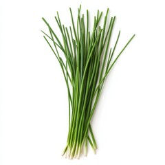 Fresh Green Chives: A vibrant bunch of culinary herbs on a white surface ready to add flavor to your cooking creations.