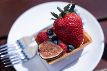 Fruit Basket