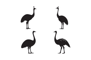 Emu Bird Silhouette Vector Set Black Flightless Bird Illustration