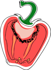 Vector hand drawn doodle style halved red bell pepper isolated on white background