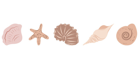 Seashells beige set, hand drawn seashells of different shapes. Underwater elements for cards, designs, invitations