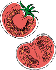 Vector doodle style drawing of two sliced pink tomatoes isolated on white background