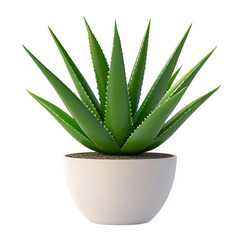 A 3D Potted Aloe Vera Plant with Bright Green Fleshy Leaves Isolated on Transparent Background