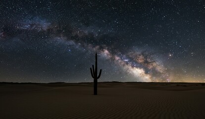 Fototapeta premium Night desert with a tall cactus against a breathtaking Milky Way backdrop.