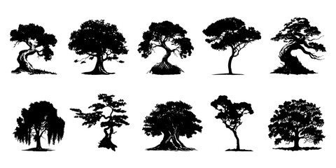 silhouettes of trees