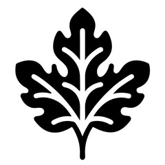 Obraz premium Silhouette of an oak leaf in a natural design, showcasing its veins and shape, representing autumn and the beauty of trees and nature