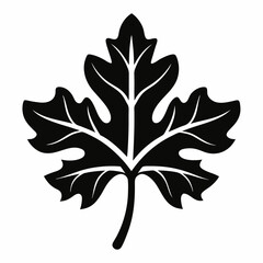 Silhouette of an oak leaf in a natural design, showcasing its veins and shape, representing autumn and the beauty of trees and nature