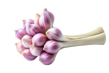 garlic cloves bunch - fresh purple bulbs isolated