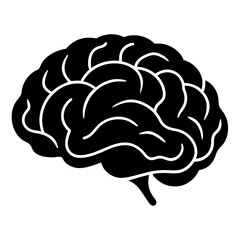 3D Vector Illustration of a Human Brain with Anatomy Details