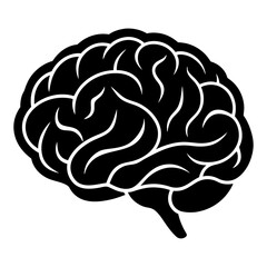 3D Vector Illustration of a Human Brain with Anatomy Details